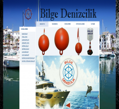 bilgedenizcilik.com (2011-2020)